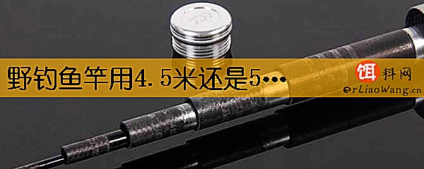 野钓鱼竿用4.5米还是5.4米