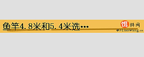 鱼竿4.8米和5.4米选哪个