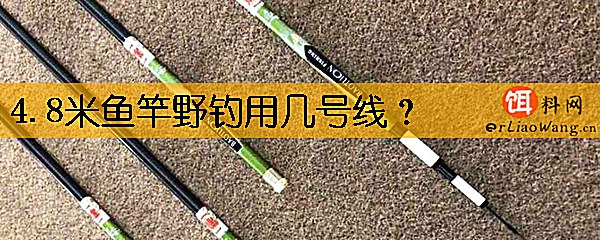 4.8米鱼竿野钓用几号线