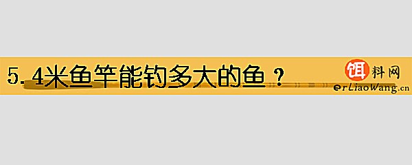 5.4米鱼竿能钓多大的鱼