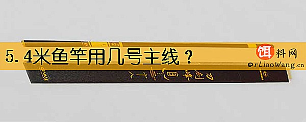 5.4米鱼竿用几号主线