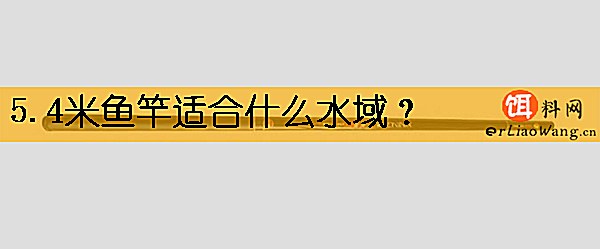 5.4米鱼竿适合什么水域