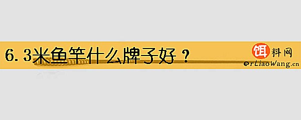 6.3米鱼竿什么牌子好