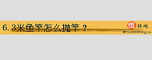 6.3米鱼竿怎么抛竿