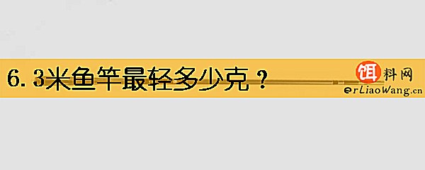 6.3米鱼竿最轻多少克