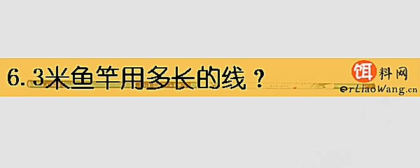 6.3米鱼竿用多长的线