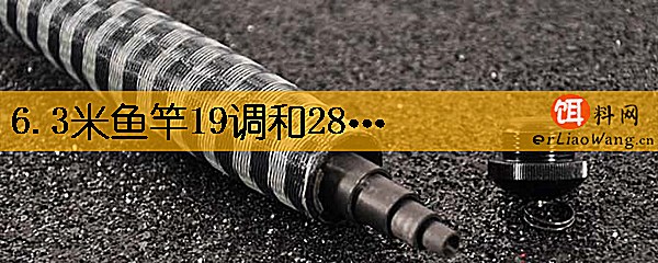 6.3米鱼竿19调和28调哪个好