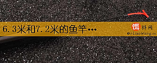 6.3米和7.2米的鱼竿哪个实用