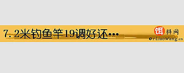 7.2米钓鱼竿19调好还是28调好