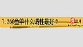 《7.2米鱼竿什么调性最好？》封面图