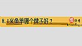 《8.1米鱼竿哪个牌子好？》封面图