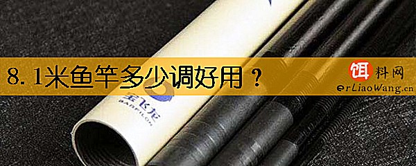 8.1米鱼竿多少调好用