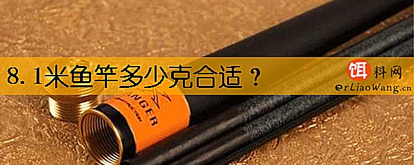 8.1米鱼竿多少克合适