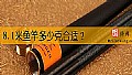 8.1米鱼竿多少克合适？