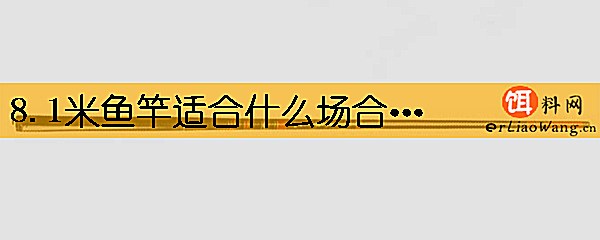 8.1米鱼竿适合什么场合钓鱼