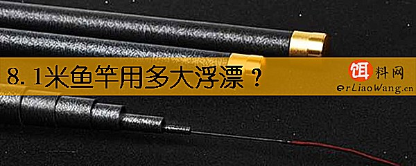 8.1米鱼竿用多大浮漂