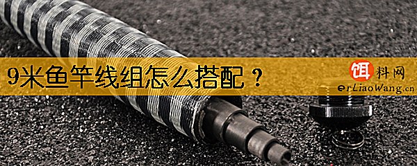 9米鱼竿线组怎么搭配