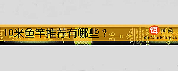10米鱼竿推荐有哪些