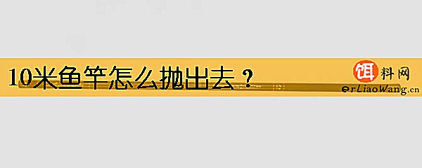 10米鱼竿怎么抛出去