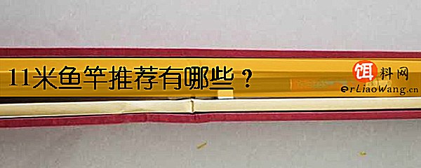 11米鱼竿推荐有哪些