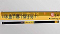 《11米鱼竿哪个牌子好?》封面图
