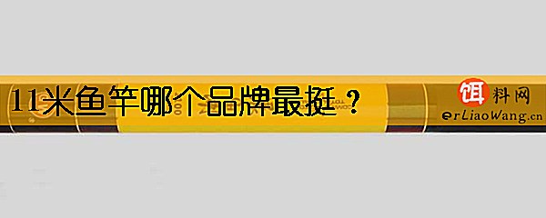11米鱼竿哪个品牌最挺