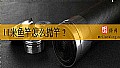 《11米鱼竿怎么抛竿?》封面图