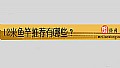 《12米鱼竿推荐有哪些?》封面图