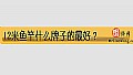《12米鱼竿什么牌子的最好?》封面图