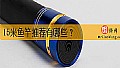 《15米鱼竿推荐有哪些？》封面图