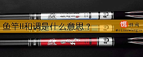 鱼竿H和调是什么意思