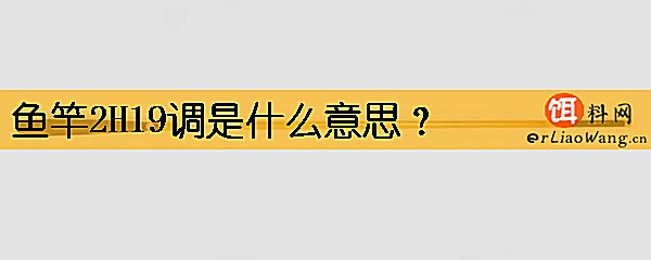 鱼竿2H19调是什么意思