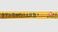 《鱼竿3H和4H有什么区别?》封面图