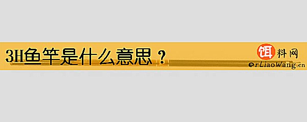 3H鱼竿是什么意思