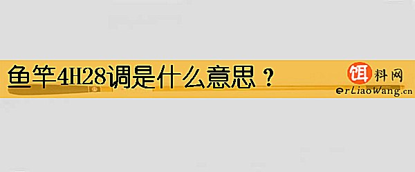 鱼竿4H28调是什么意思