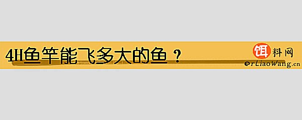 4H鱼竿能飞多大的鱼