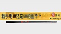 《新手用4H还是5H的鱼竿？》封面图