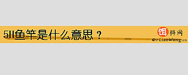 5H鱼竿是什么意思