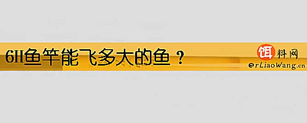 6H鱼竿能飞多大的鱼