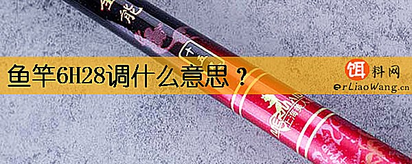 鱼竿6H28调什么意思