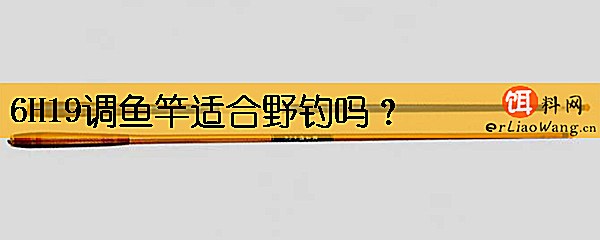 6H19调鱼竿适合野钓吗