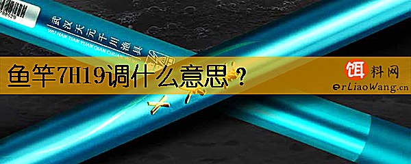 鱼竿7H19调什么意思