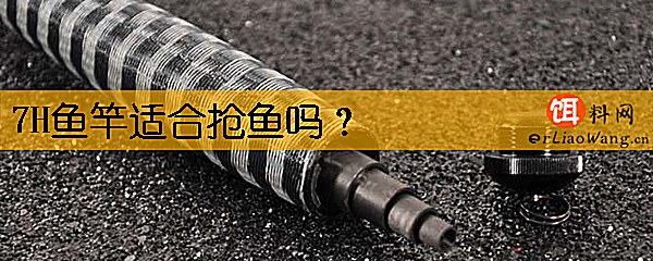 7H鱼竿适合抢鱼吗