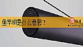 《鱼竿8H是什么意思？》封面图