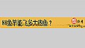 《8H鱼竿能飞多大的鱼？》封面图
