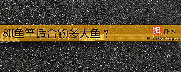 8H鱼竿适合钓多大鱼