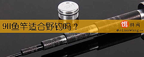 9H鱼竿适合野钓吗