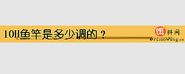 10H鱼竿是多少调的