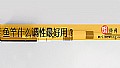《鱼竿什么调性最好用?》封面图