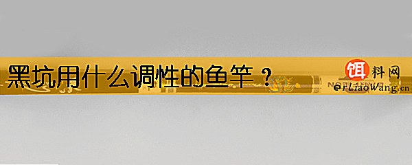 黑坑用什么调性的鱼竿